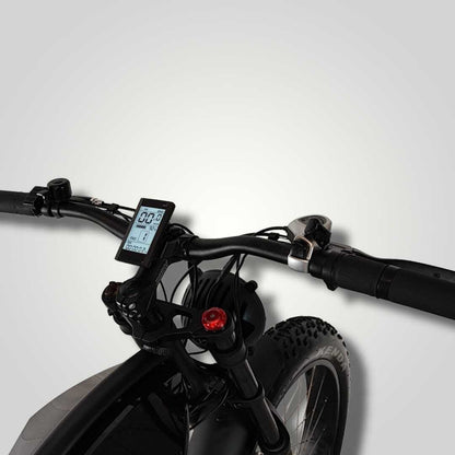 Alligator E-bike