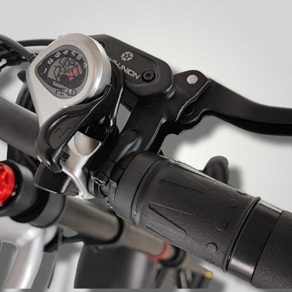 E-Carus | Trail Bike
