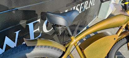 Vintage-Cruiser Ex demo