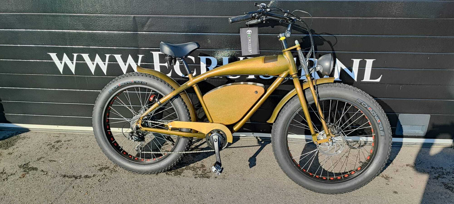 Vintage-Cruiser Ex demo