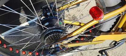 Vintage-Cruiser Ex demo