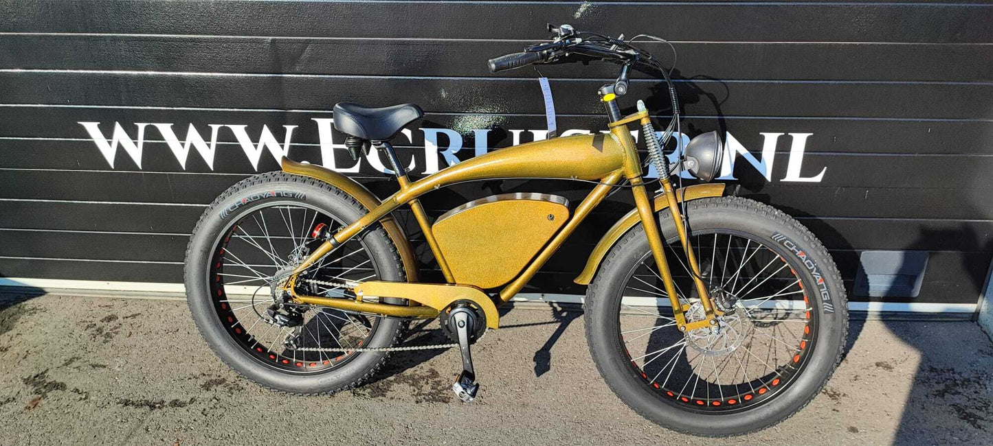 Vintage-Cruiser Ex demo