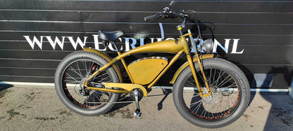Vintage-Cruiser Ex demo