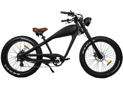 Urban Fat-bike
