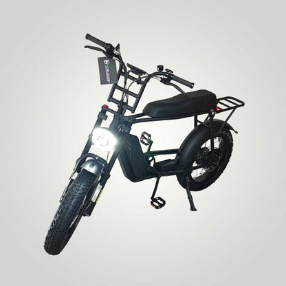V10 | Fat-Bike