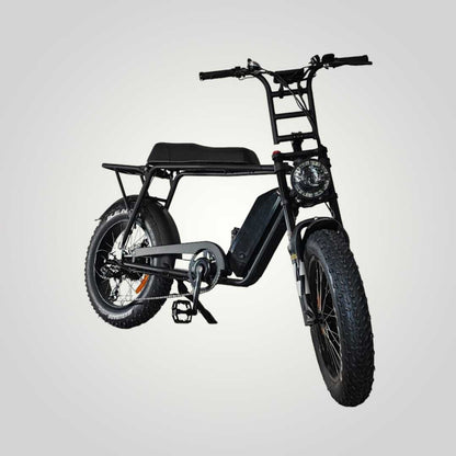 V10 | Fat-Bike