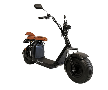 Ecruiser X1 CUSTOM EDITION