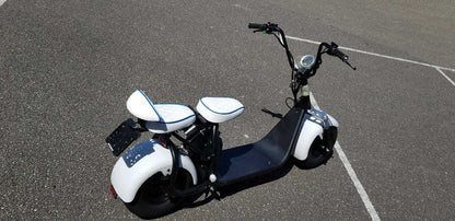 Ecruiser X1 CUSTOM EDITION