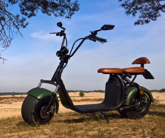 Ecruiser X1 CUSTOM EDITION