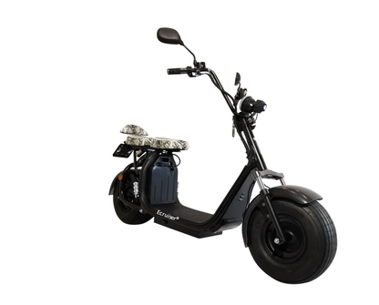 Ecruiser X1 CUSTOM EDITION