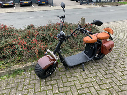 Ecruiser X1 CUSTOM EDITION