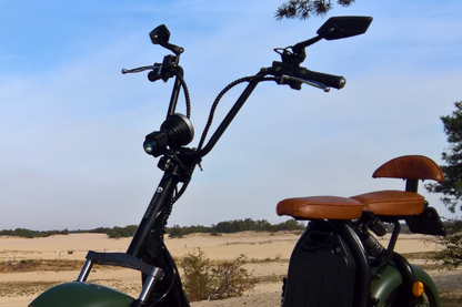 Ecruiser X1 CUSTOM EDITION