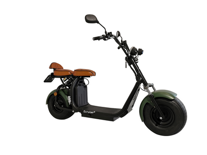 Ecruiser X1 CUSTOM EDITION