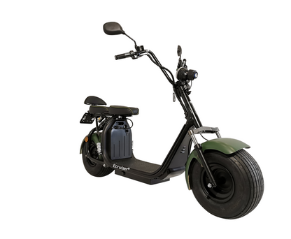 Ecruiser X1 CUSTOM EDITION