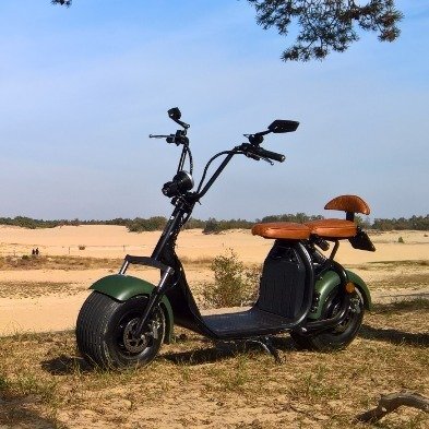 Ecruiser X1 CUSTOM EDITION