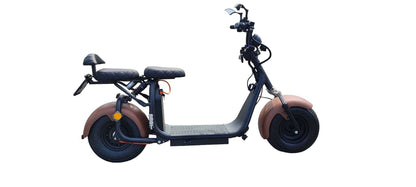 Ecruiser X1 CUSTOM EDITION