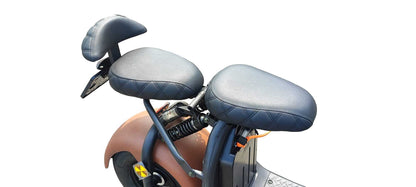 Ecruiser X1 CUSTOM EDITION