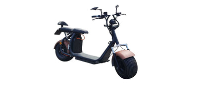 Ecruiser X1 CUSTOM EDITION