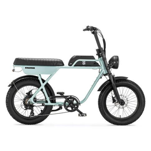 AGM GT250 | Fat Bike