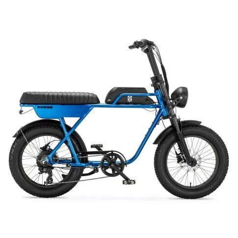 AGM GT250 | Fat Bike