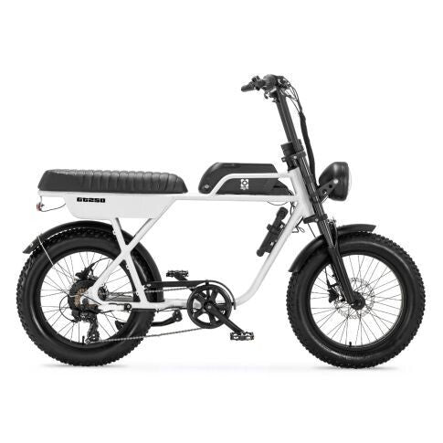 AGM GT250 | Fat Bike