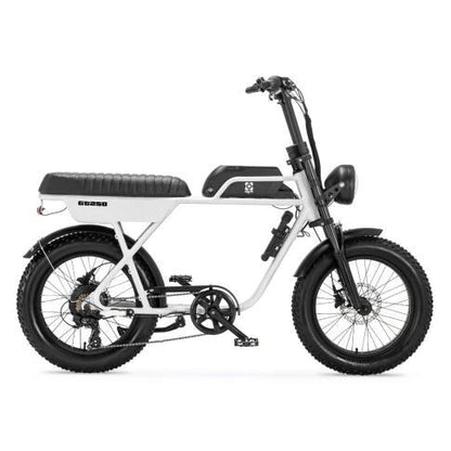 AGM GT250 | Fat Bike