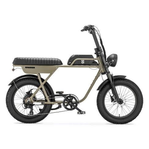 AGM GT250 | Fat Bike