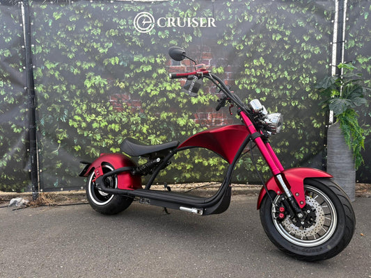 Echopper 3.0 | kmstand: 189km