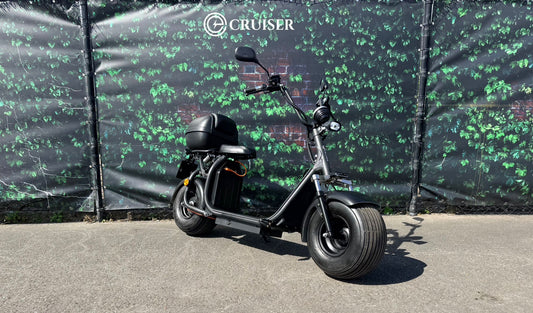 Ecruiser X1 | Kmstand: 396km