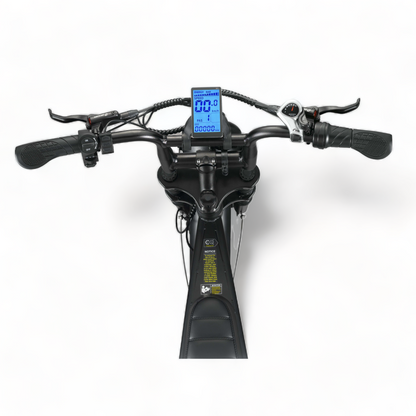 Fat-Bike | V8 | 3.0 | Black