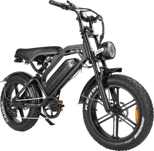 Fat-Bike | V20 Pro