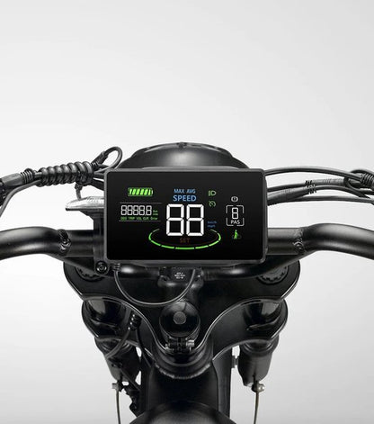 Fat-Bike | V20 Pro | Max