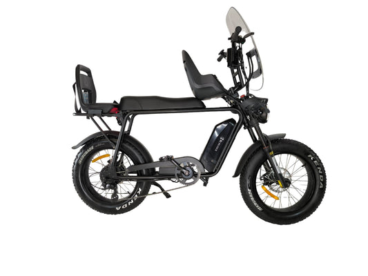V10 | Fat-Bike