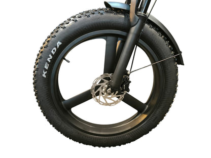 Fat-Bike | V20 Pro | Max