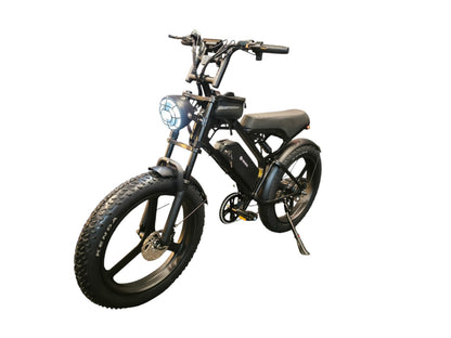Fat-Bike | V20 Pro | Max