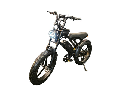 Fat-Bike | V20 Pro | Max