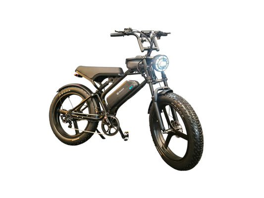 Fat-Bike | V20 Pro | Max