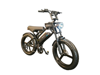 Fat-Bike | V20 Pro | Max
