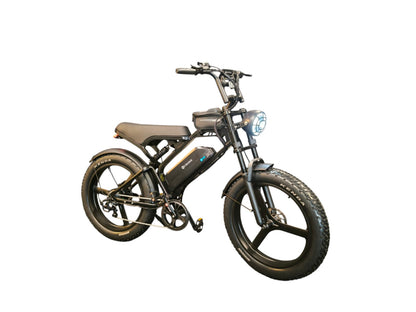 Fat-Bike | V20 Pro | Max