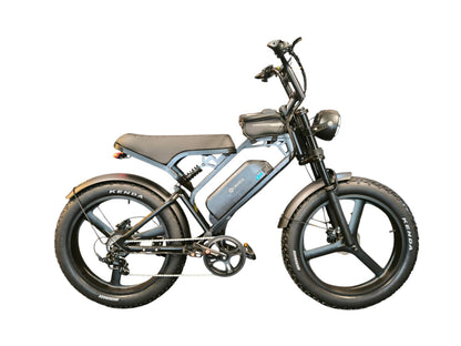 Fat-Bike | V20 Pro | Max