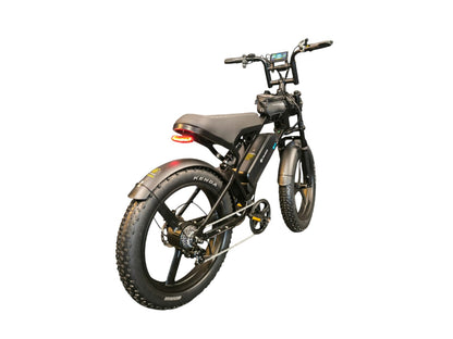 Fat-Bike | V20 Pro | Max
