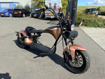 Echopper M1p - 182km