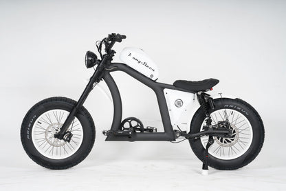 Chopper bike FT02
