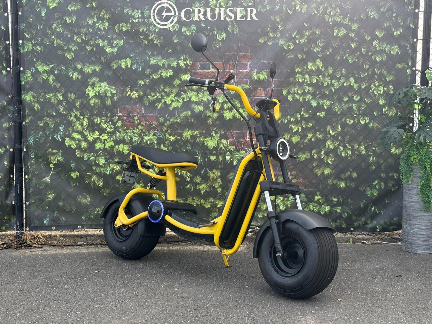 Smarda | Kmstand: 651km