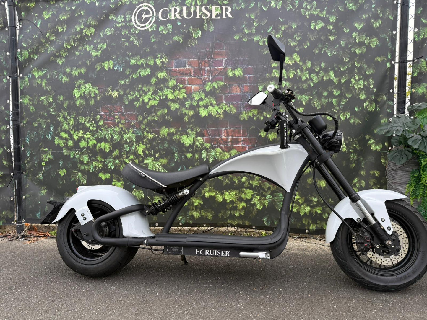 Echopper | Kmstand: 8444km