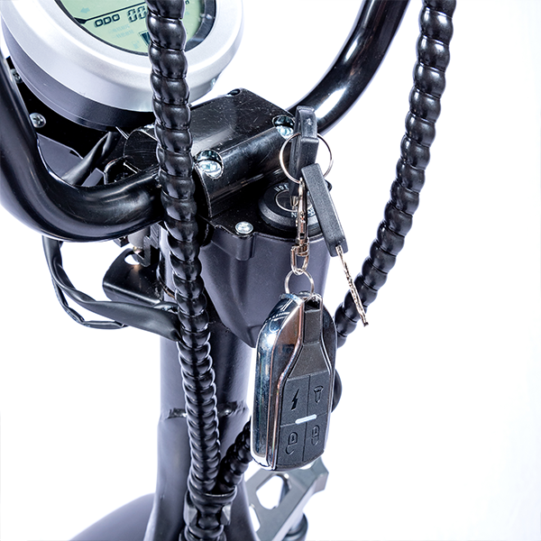 Ecruiser X1 - Bolt