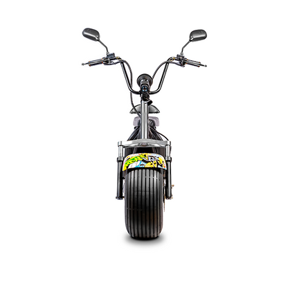 Ecruiser X1 - Grafetti