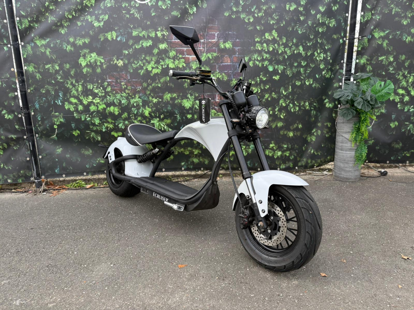 Echopper | Kmstand: 8444km