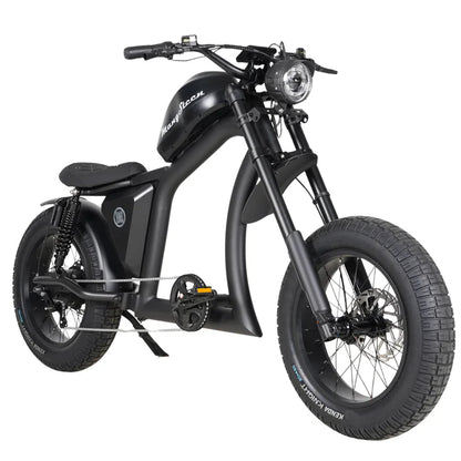 Chopper bike FT02