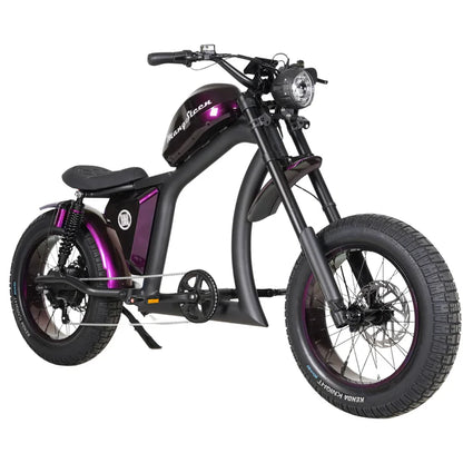 Chopper bike FT02